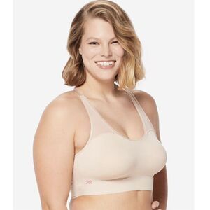 Ruby Ribbon Heritage Sheer Demiette Pale Nwt Size 32